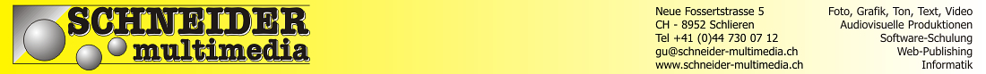 Schneider multimedia